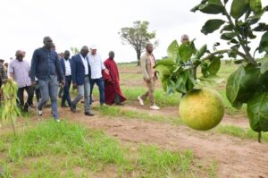 Anatole Collinet MAKOSSO visite le site le  Bon Coin à Tchiamba Nzassi dans le département de Pointe-Noire.