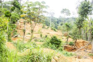 le Premier Ministre Anatole Collinet MAKOSSO est descendu sur les lieux la réserve de biosphère de Dimonika (1)