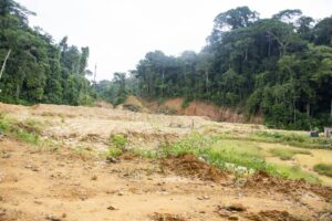 le Premier Ministre Anatole Collinet MAKOSSO est descendu sur les lieux la réserve de biosphère de Dimonika (1)